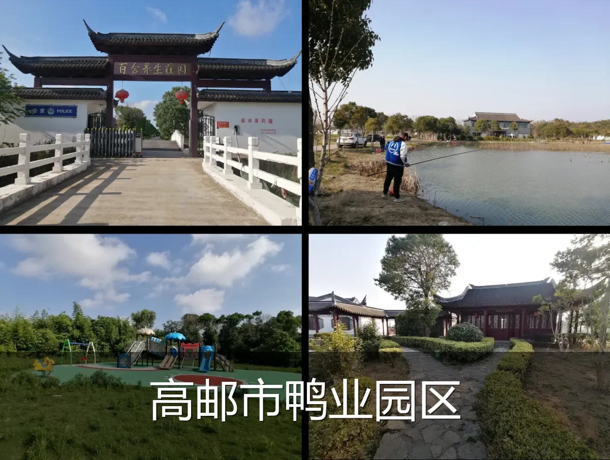 高邮市鸭业园区